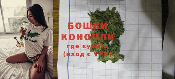 тгк Богданович