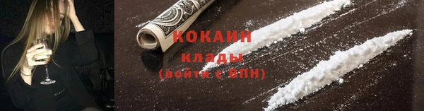 индика Кукмор